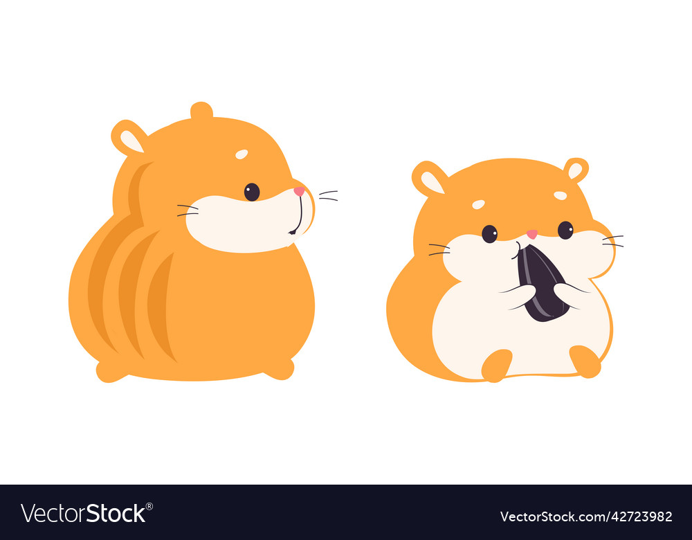 Cute hamster character with stout body sitting