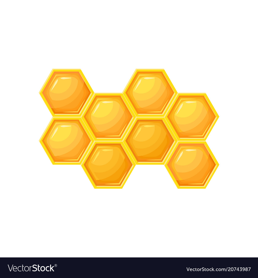 Bright Cartoon Icon Honeycombs Natural Farm Vector Image