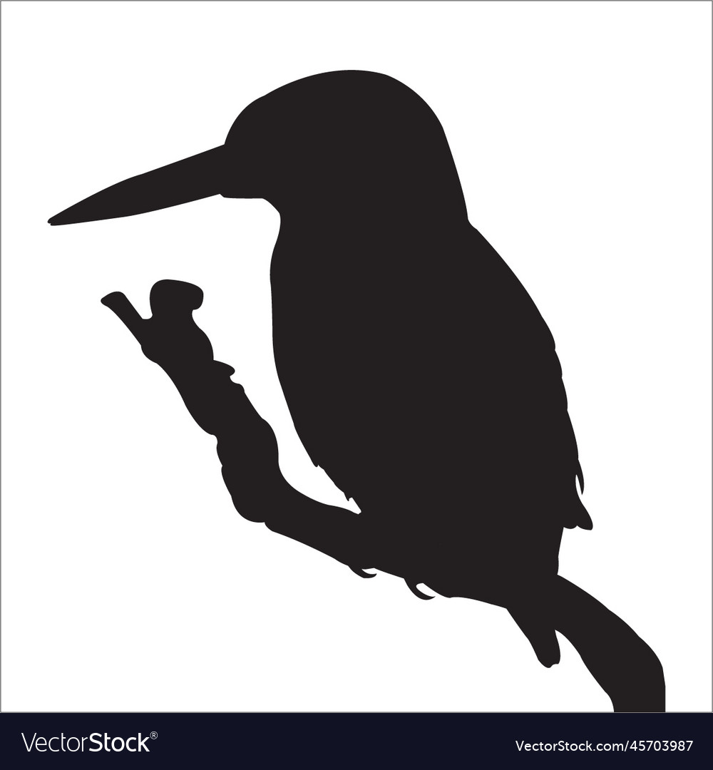 Common kingfisher silhouette Royalty Free Vector Image