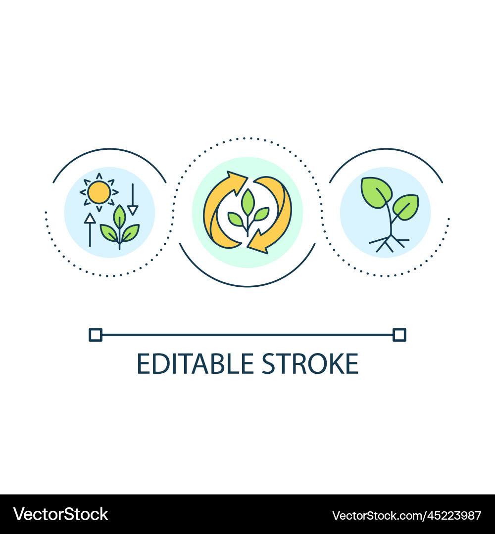 Photosynthesis loop concept icon Royalty Free Vector Image