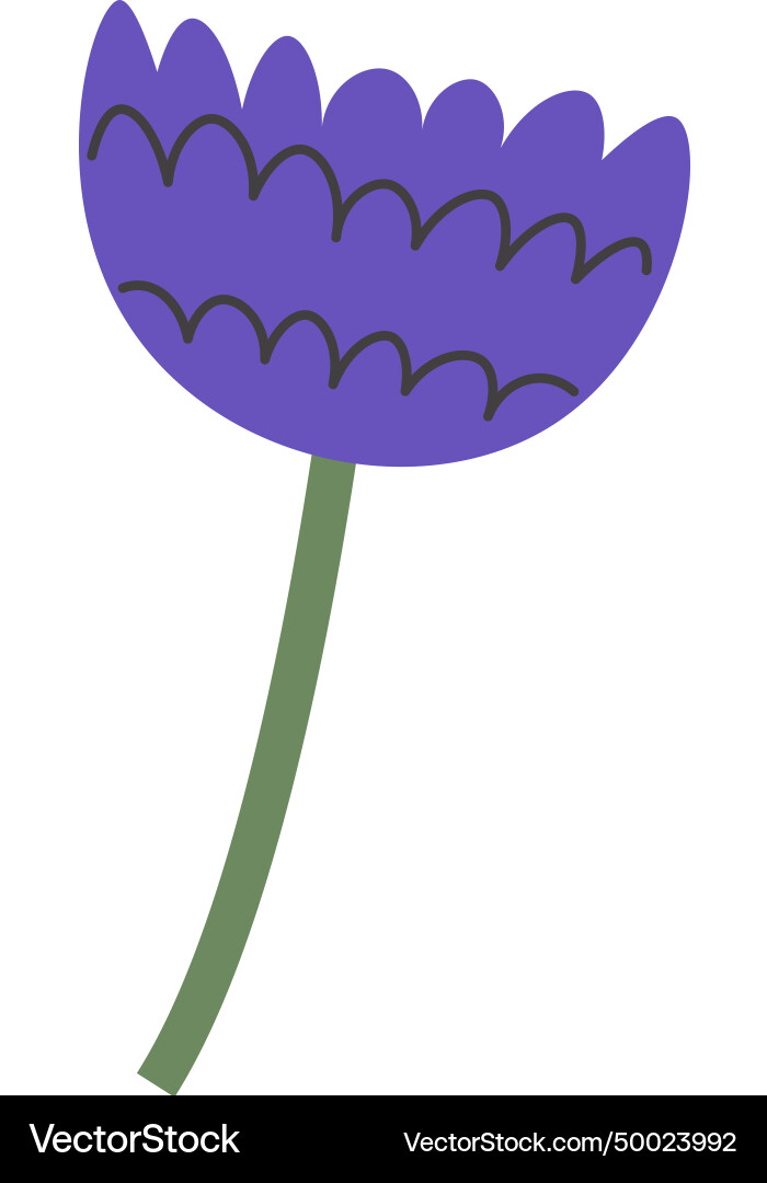 Flower on stem Royalty Free Vector Image - VectorStock