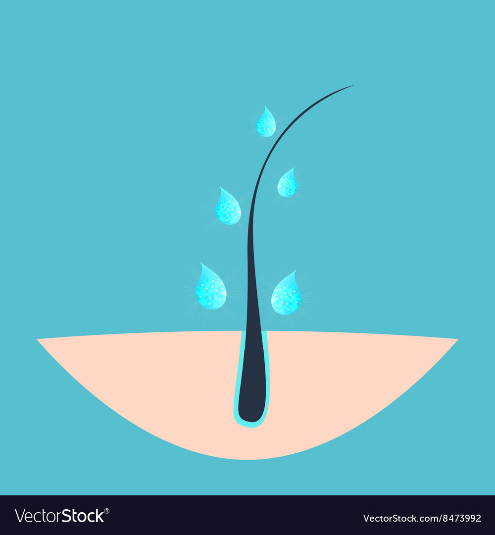 Hair bulb treatment poster Royalty Free Vector Image