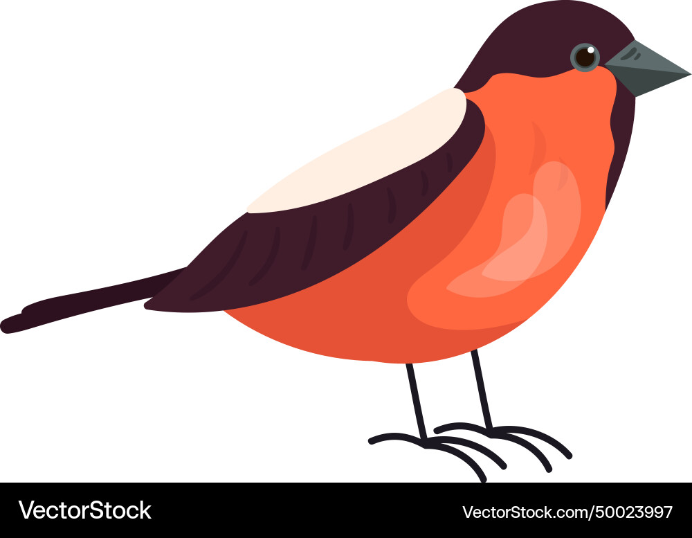 Bird animal standing Royalty Free Vector Image
