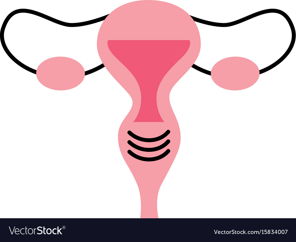 Female reproductive organ icon