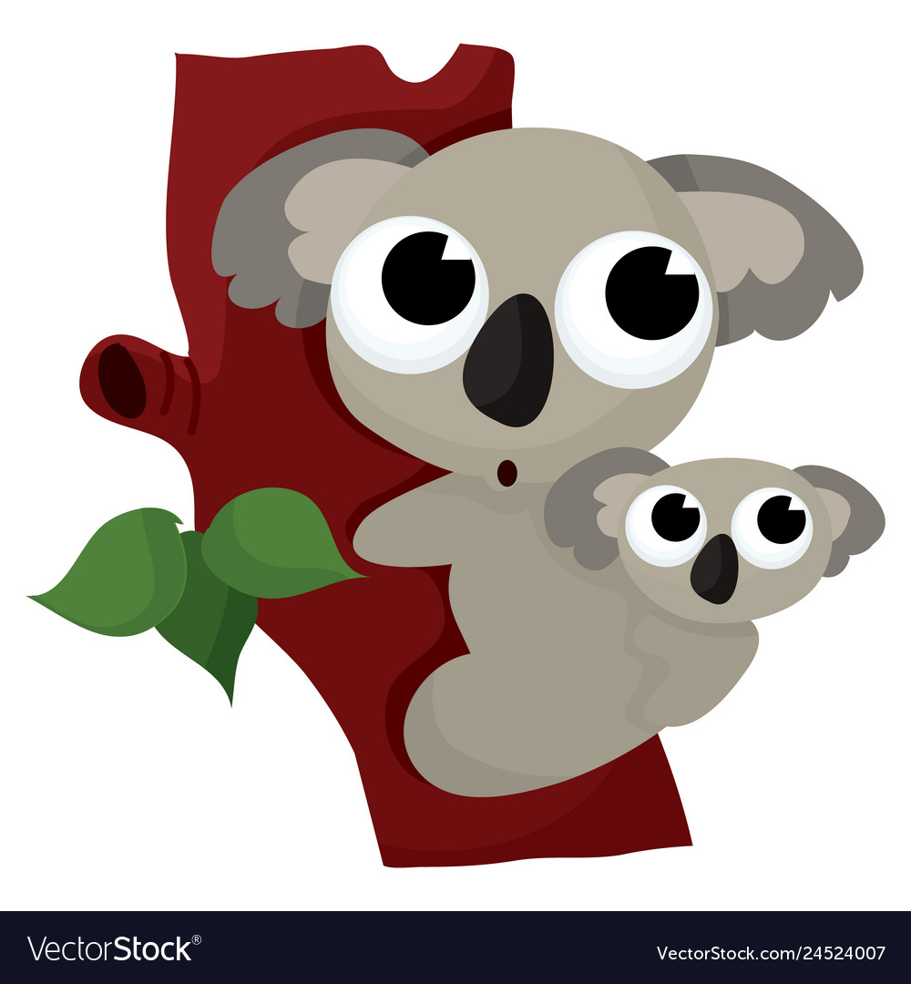 Koala Bear Royalty Free Vector Image - Vectorstock