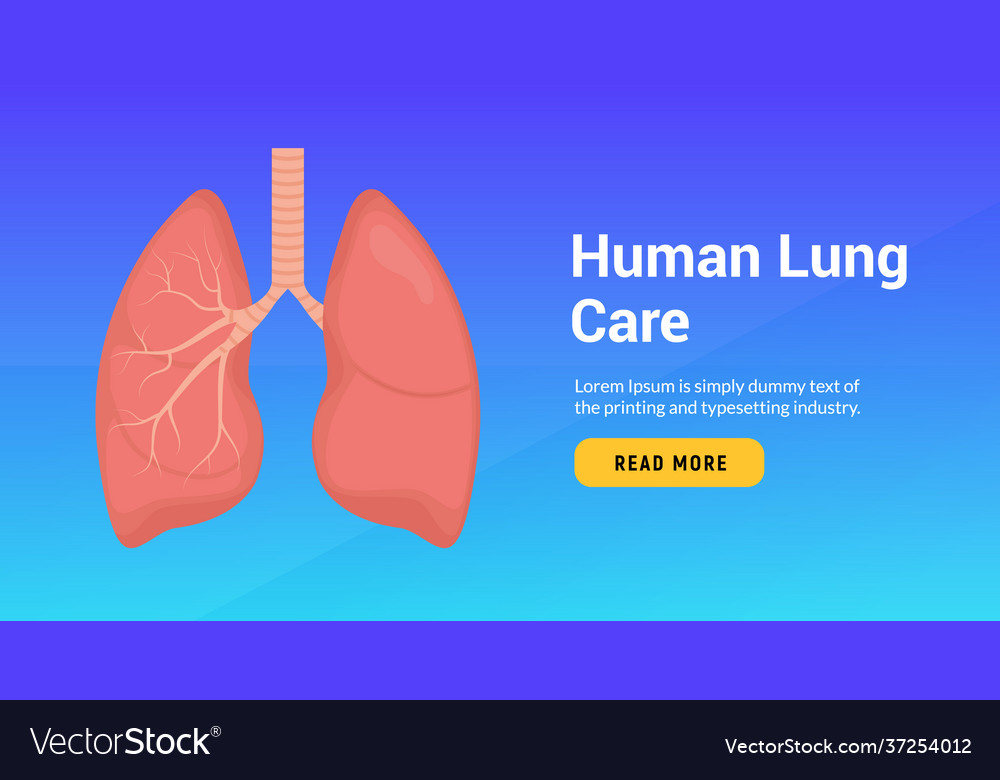 Lung Anatomy Health Banner Concept Tuberculosis Vector Image