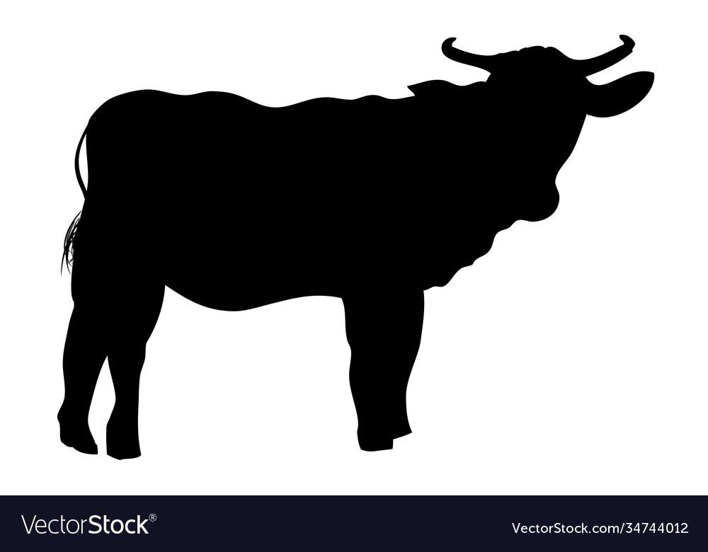 Manual draw silhouette cow allowed