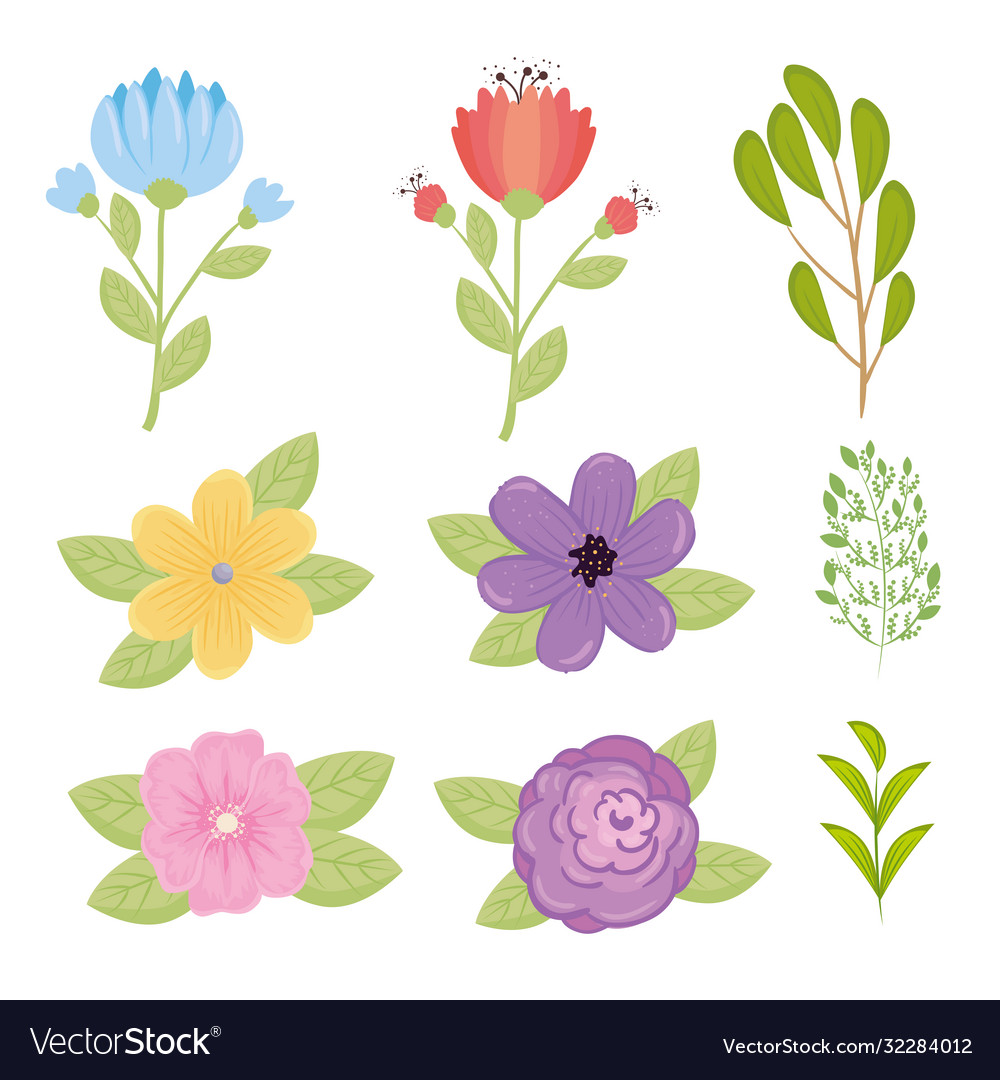 Set flowers color blue red yellow pink Royalty Free Vector