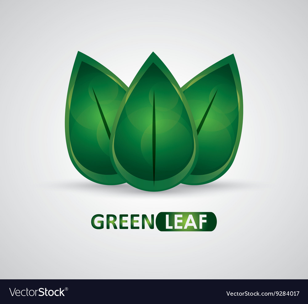 Green design leaf icon white background graphic Vector Image