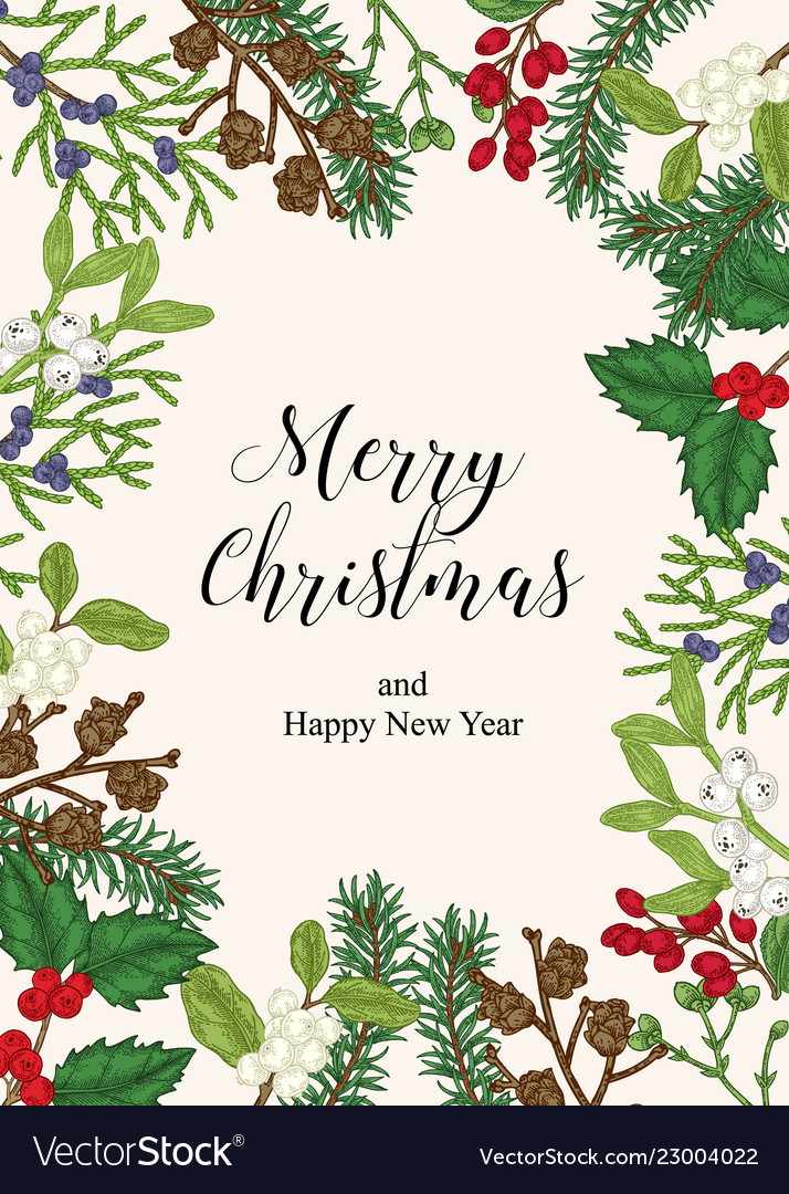 Hand Drawn Christmas Card With Winter Plants Vector Image