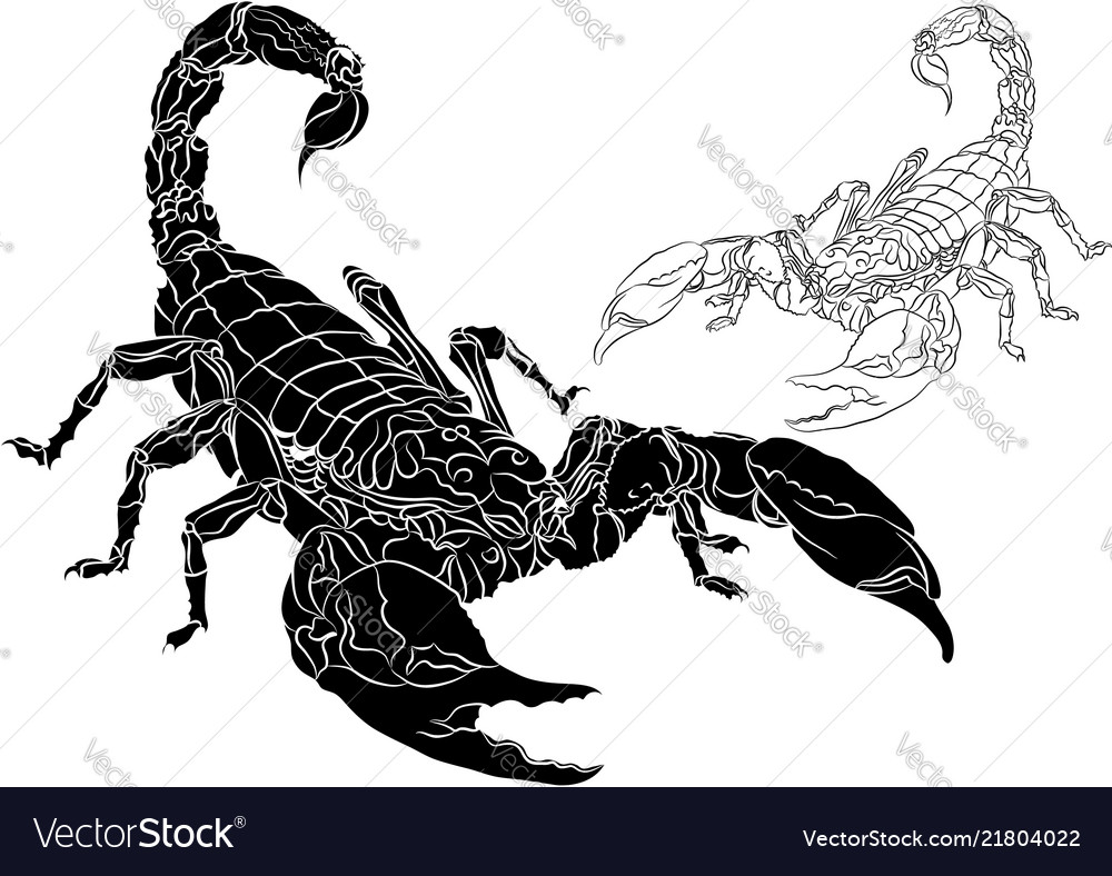 Scorpion isolated on white background Royalty Free Vector