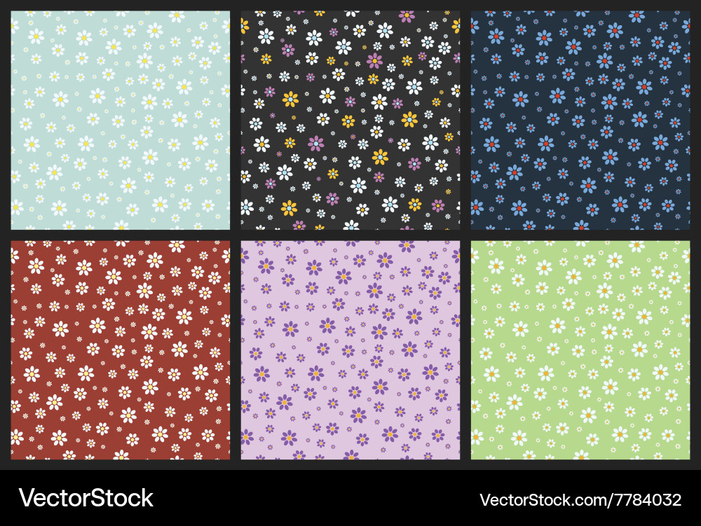 Flower daisy pattern chamomile Royalty Free Vector Image