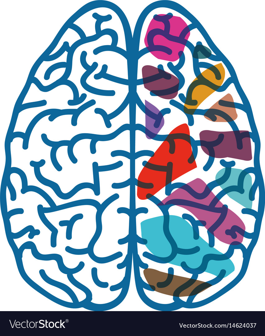 Human brain symbol Royalty Free Vector Image - VectorStock