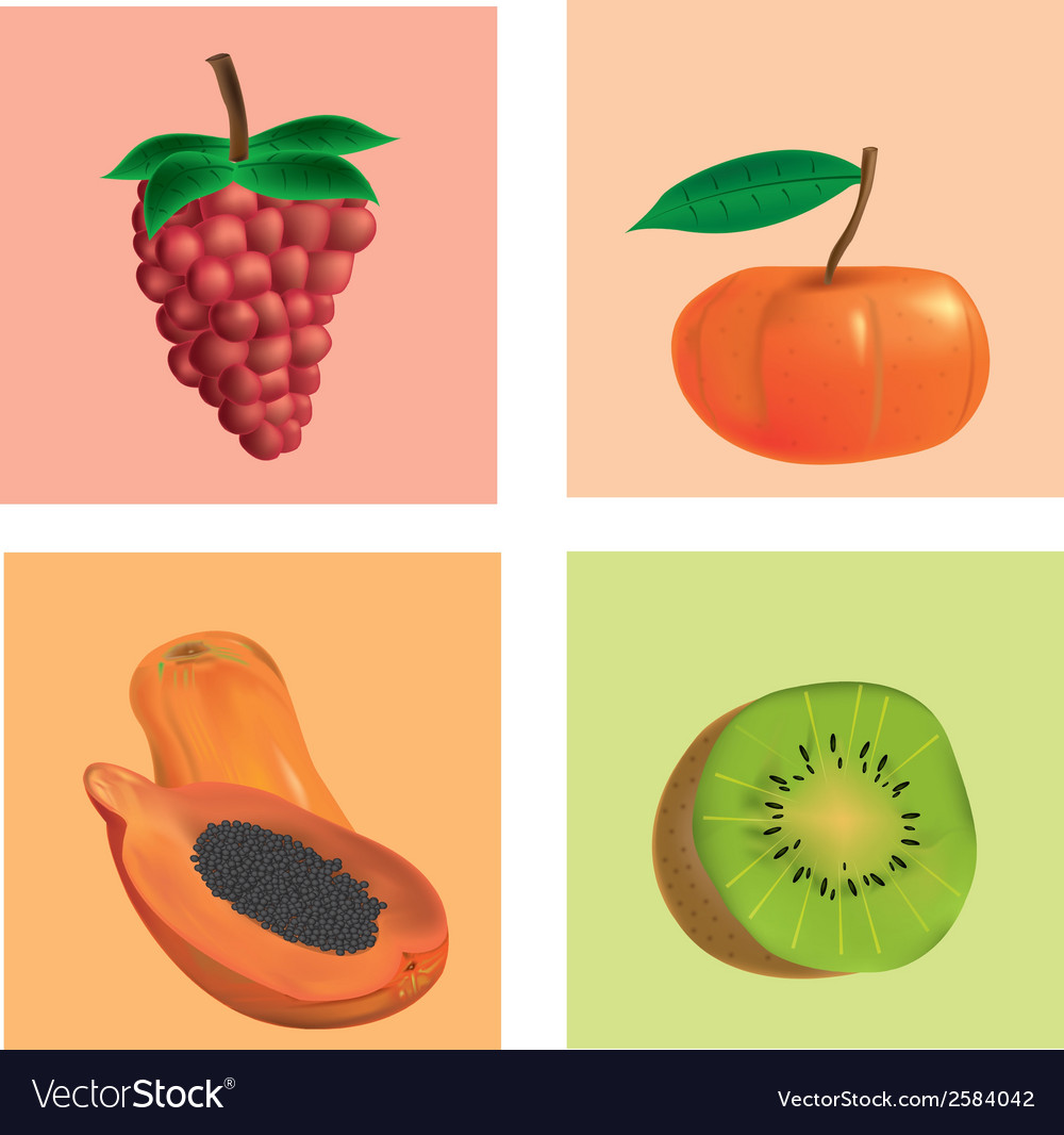A set fruits like raspberries tangerine papayas Vector Image