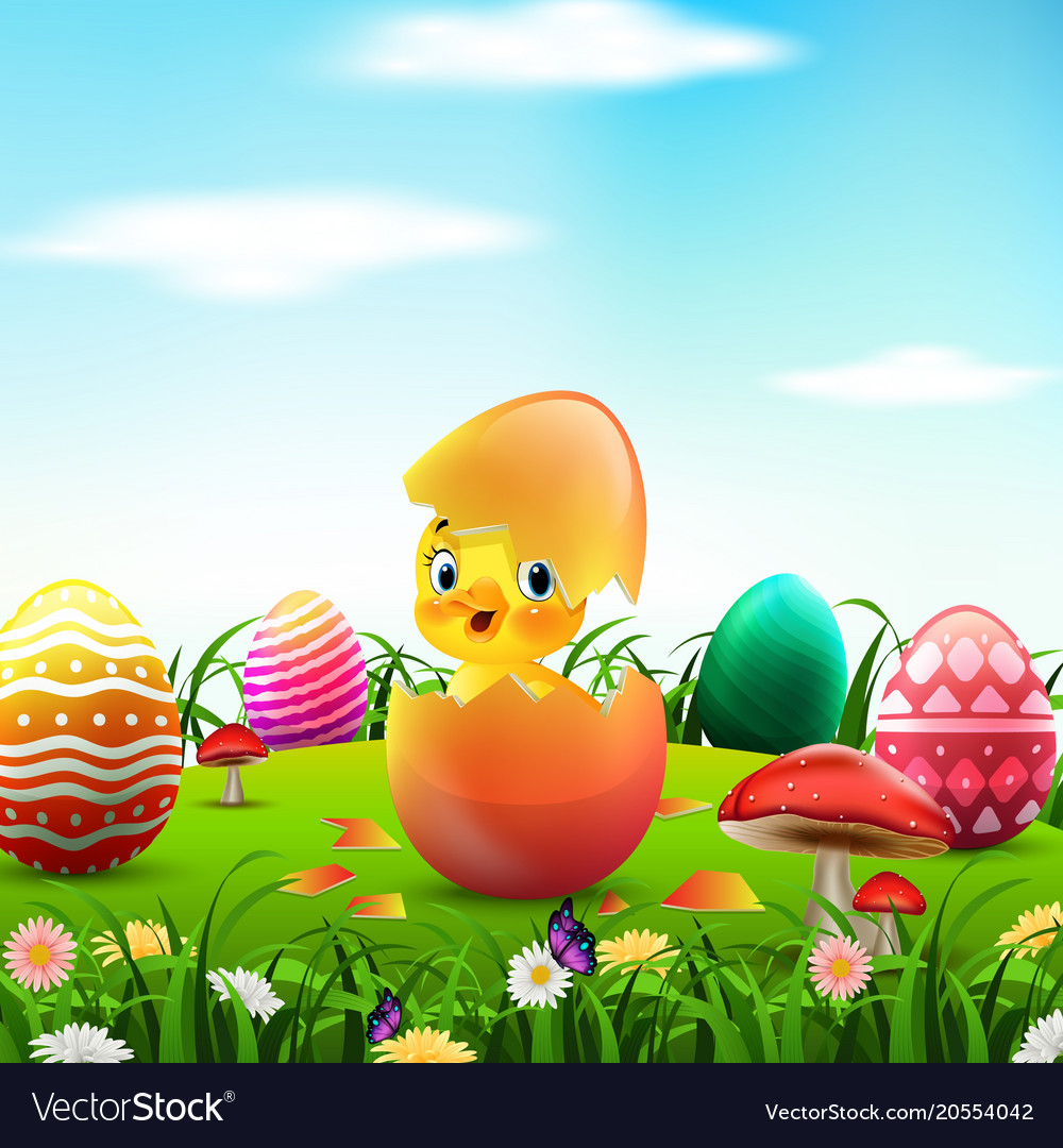 Cute easter duckling in the broken easter egg Vector Image