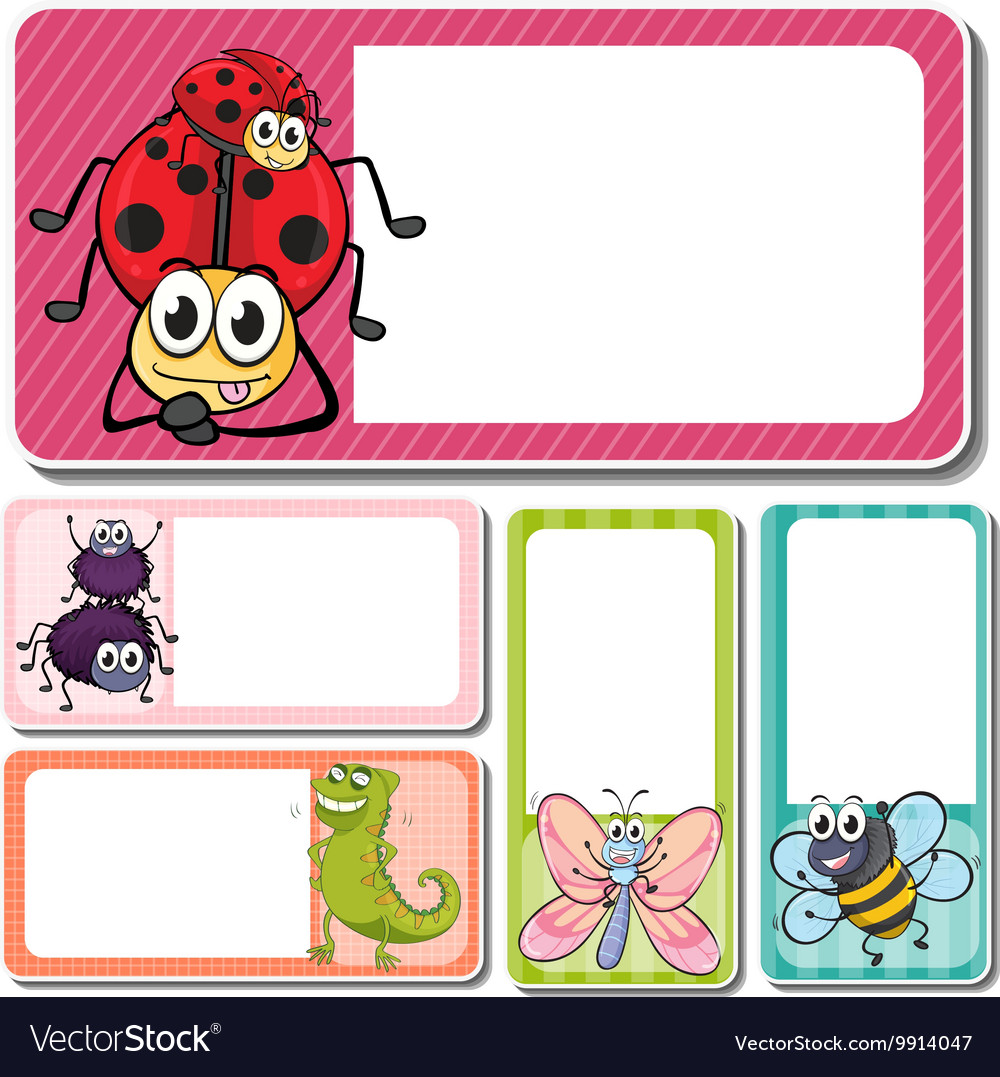 Different insects on square labels Royalty Free Vector Image