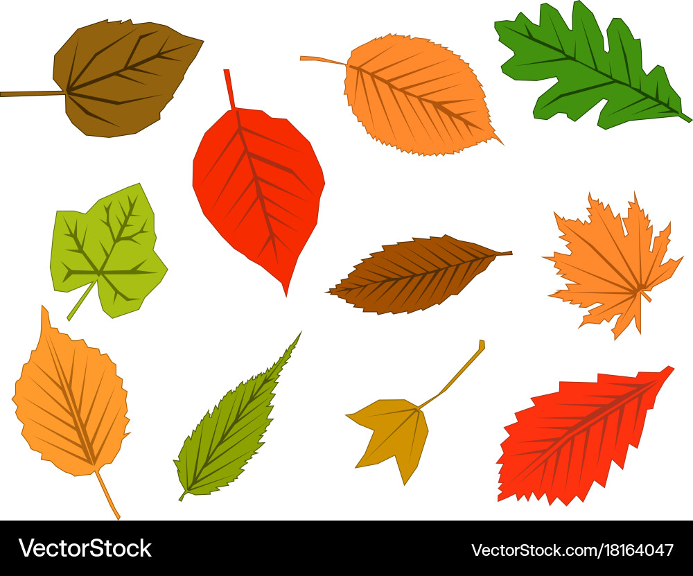 Leaves Royalty Free Vector Image - VectorStock