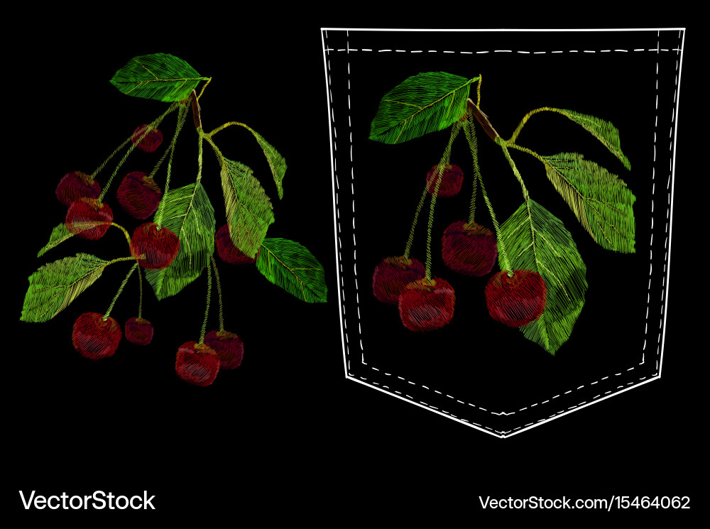 Embroidery needlework Royalty Free Vector Image