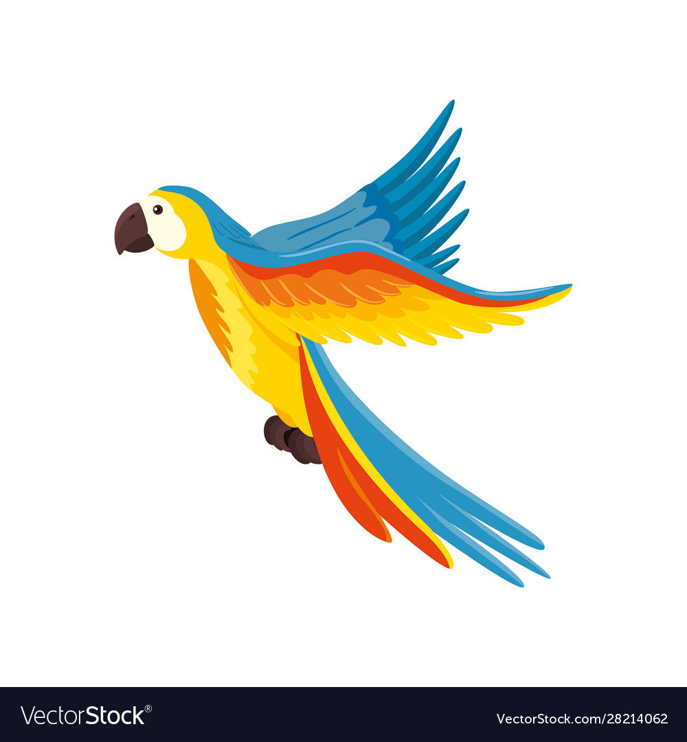 Parrot animal exotic isolated icon Royalty Free Vector Image Parrot animal exotic isolated icon Royalty Free Vector Image