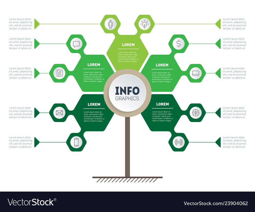 Vertical ecology timeline or infographics tree