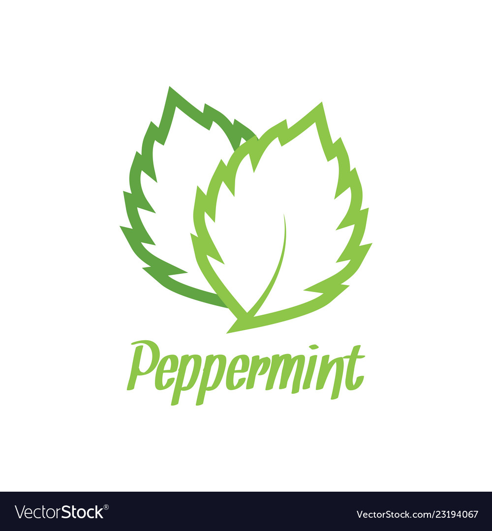 Peppermint logo design inspiration Royalty Free Vector Image