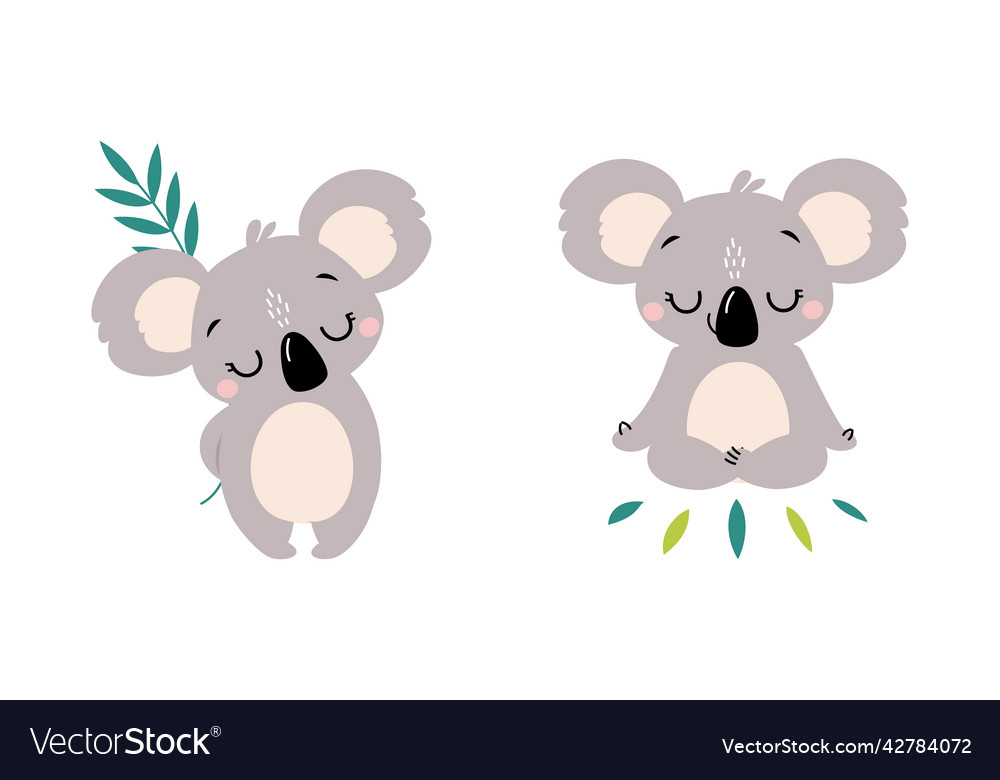 Adorable koala arboreal australian animal Vector Image