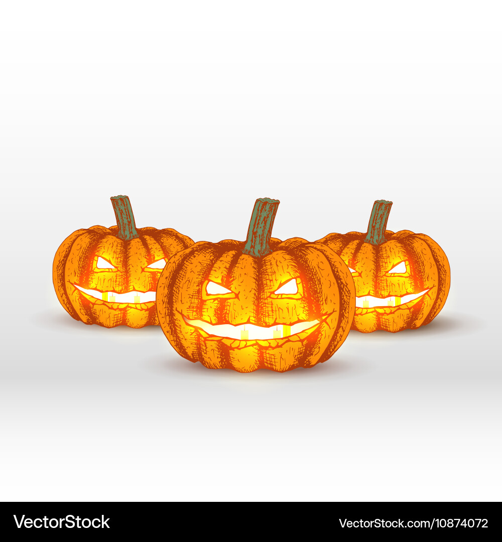 Pumpkins On White Background Royalty Free Vector Image