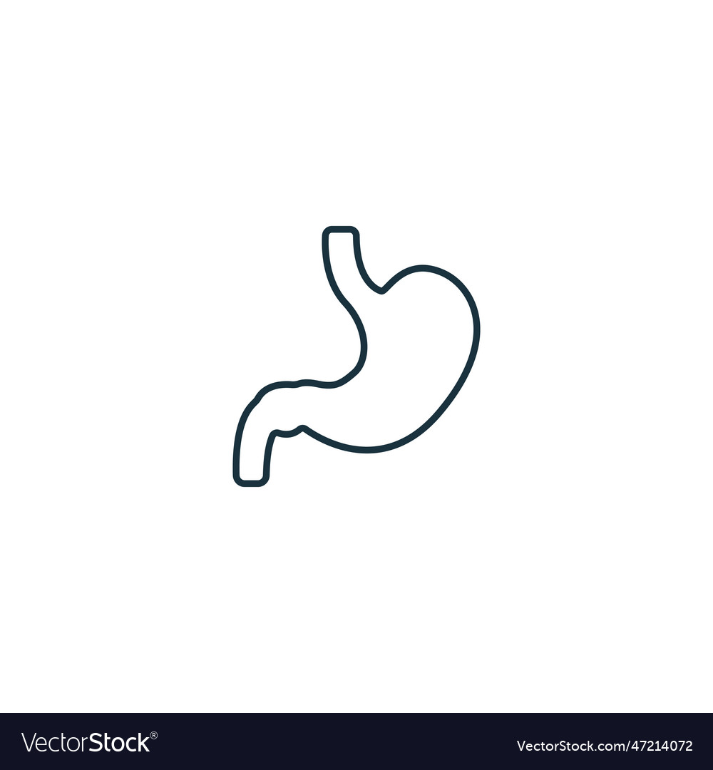 Stomach icon monochrome simple sign from anatomy Vector Image