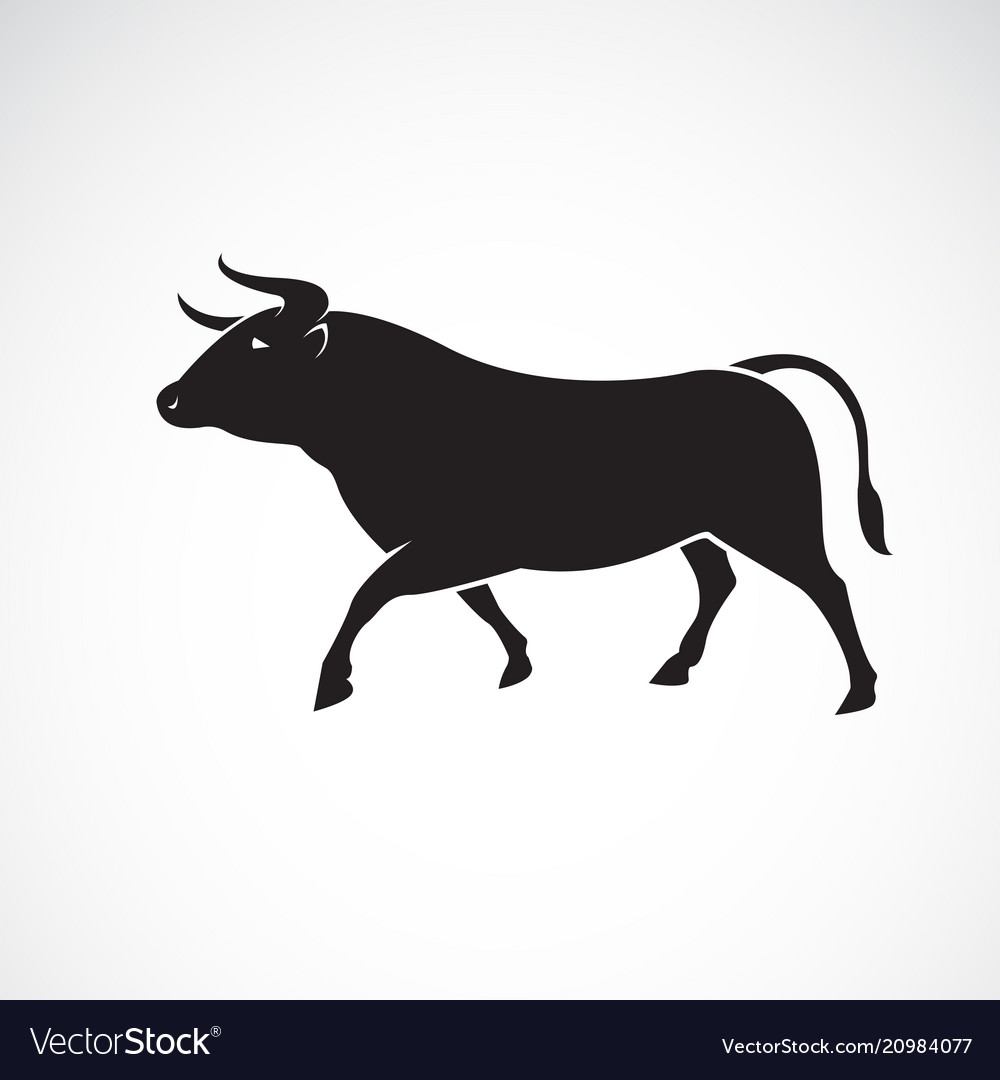 Bull design on white background wild animals Vector Image