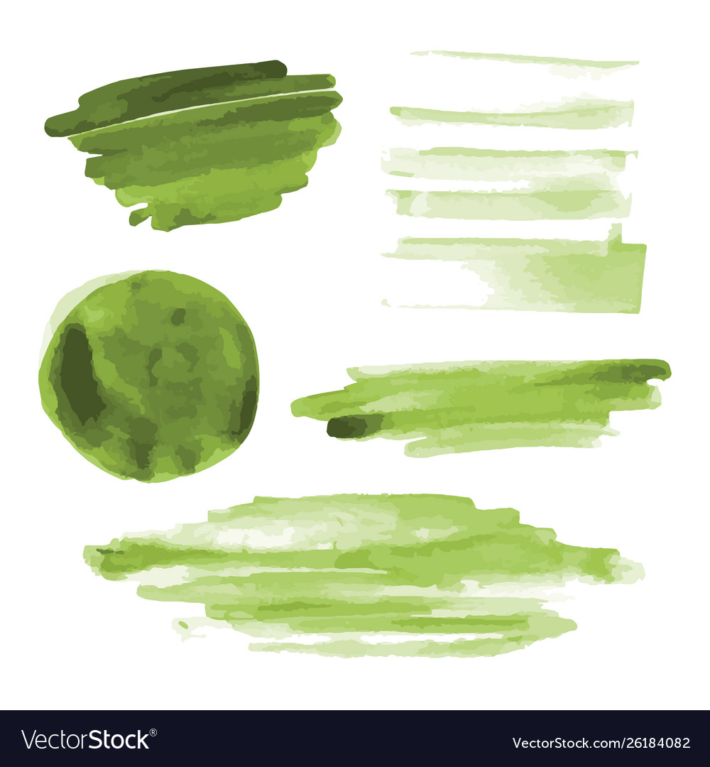 Green Watercolor Shapes Circle Brush Strokes Vector Image