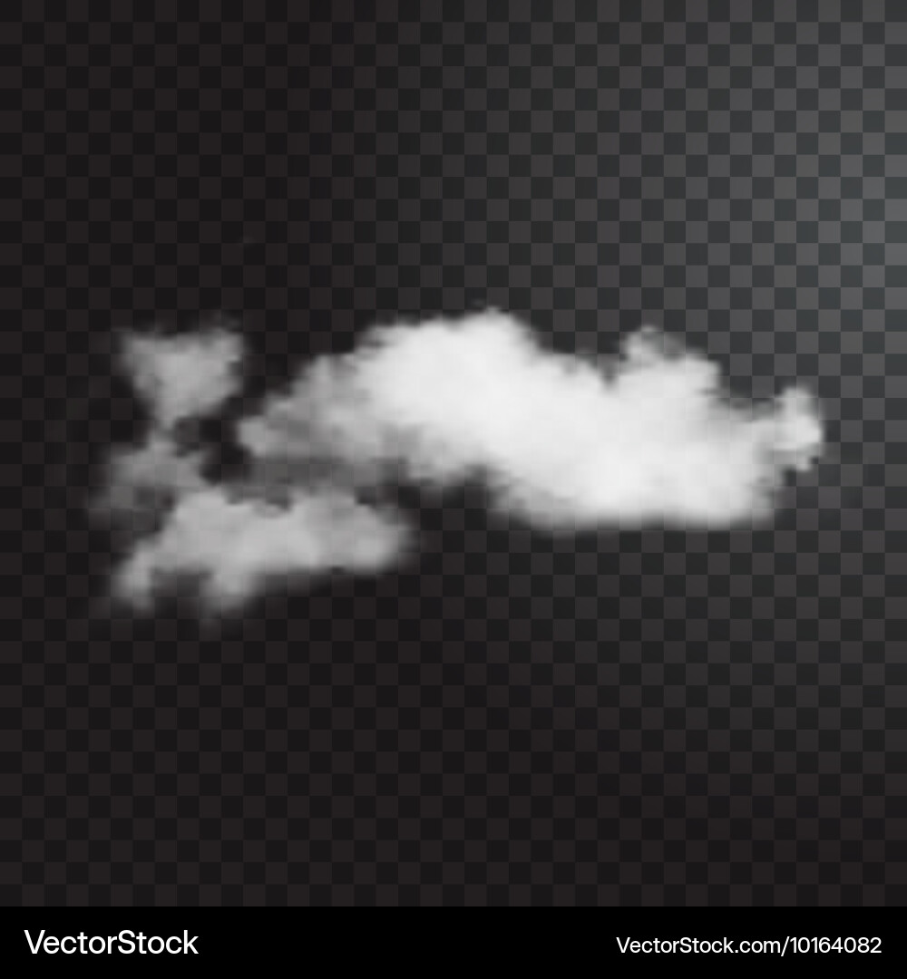Realistic cloud on transparent background Vector Image