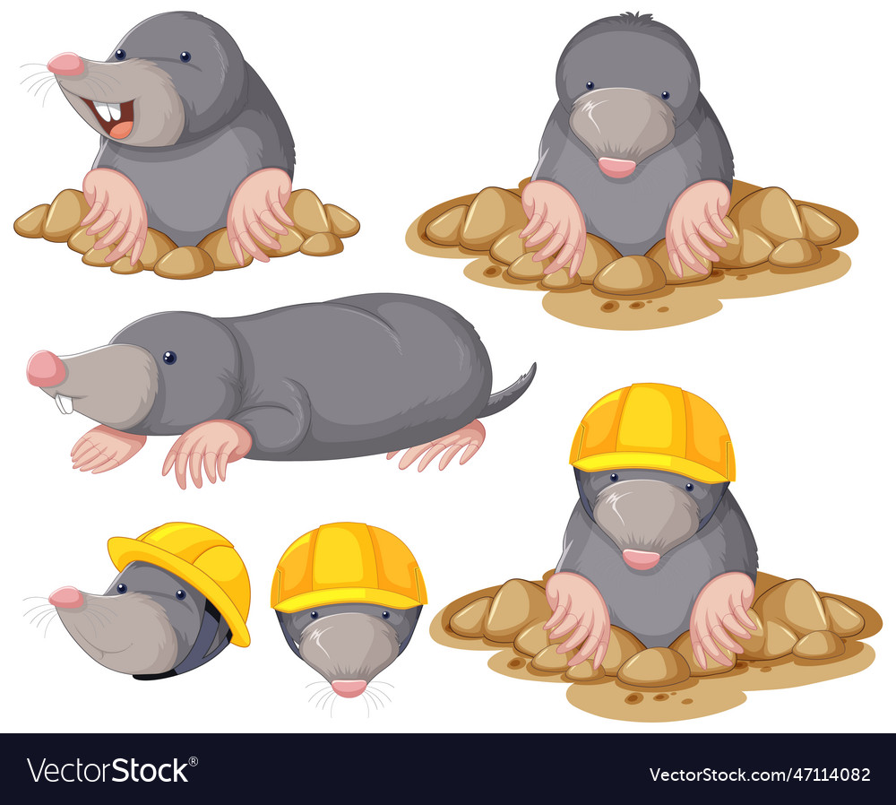 Set of moles cartoon character Royalty Free Vector Image