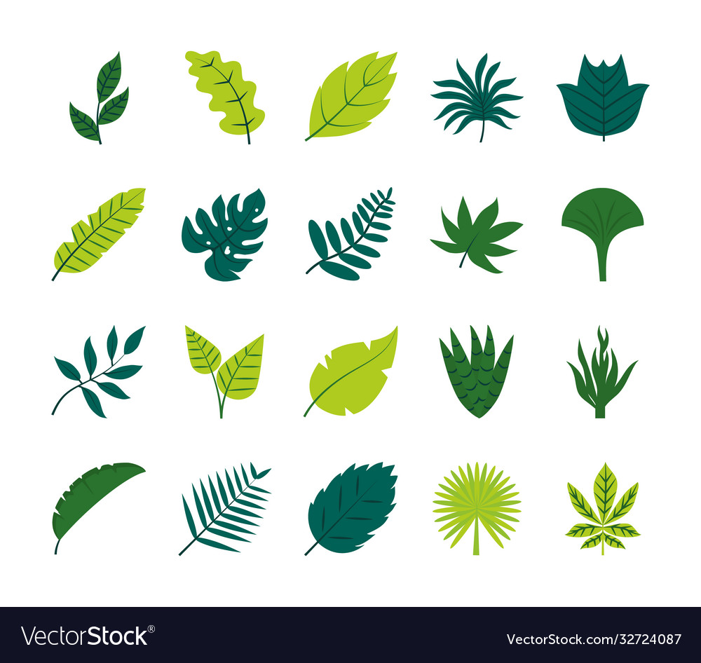 Tropical leaves flat style icon set design