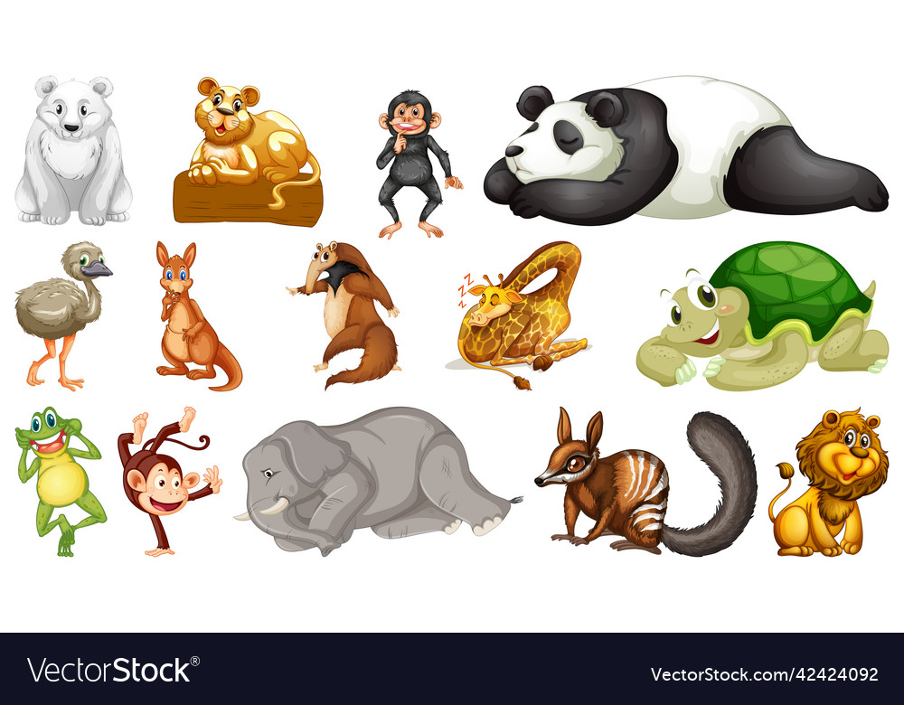 Wild animals set of white background Royalty Free Vector
