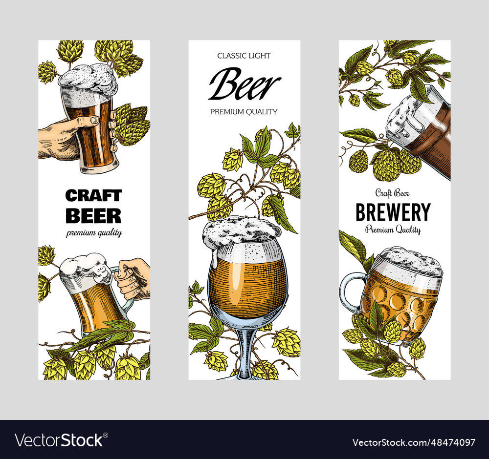 Hop cones and barley malt beer for poster Vector Image