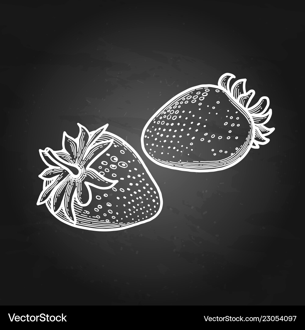 Two graphic strawberries isolated Royalty Free Vector Image