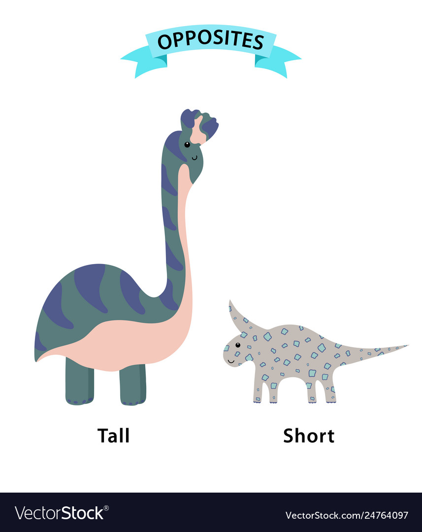 wordcard-for-tall-and-short-antonyms-and-opposites