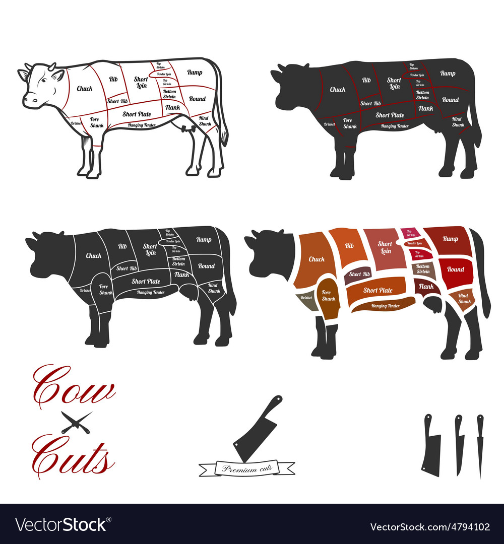 Cow cuts Royalty Free Vector Image - VectorStock