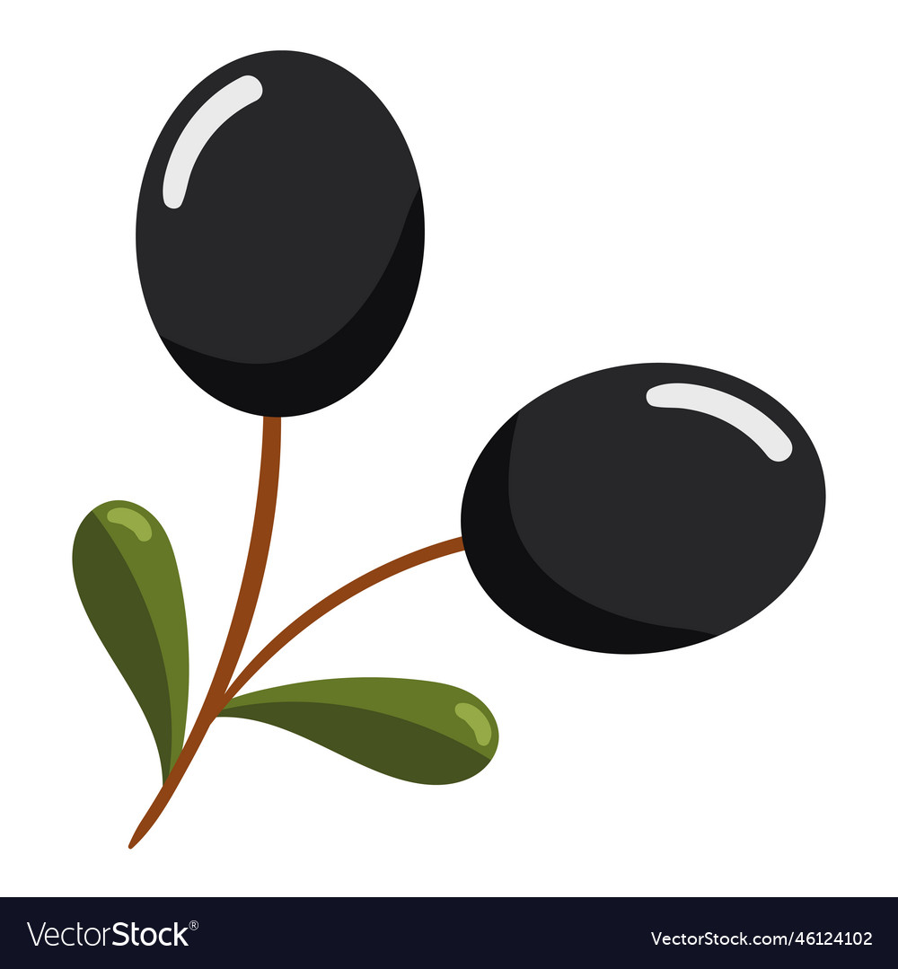 Olive branch and leaf icon Royalty Free Vector Image