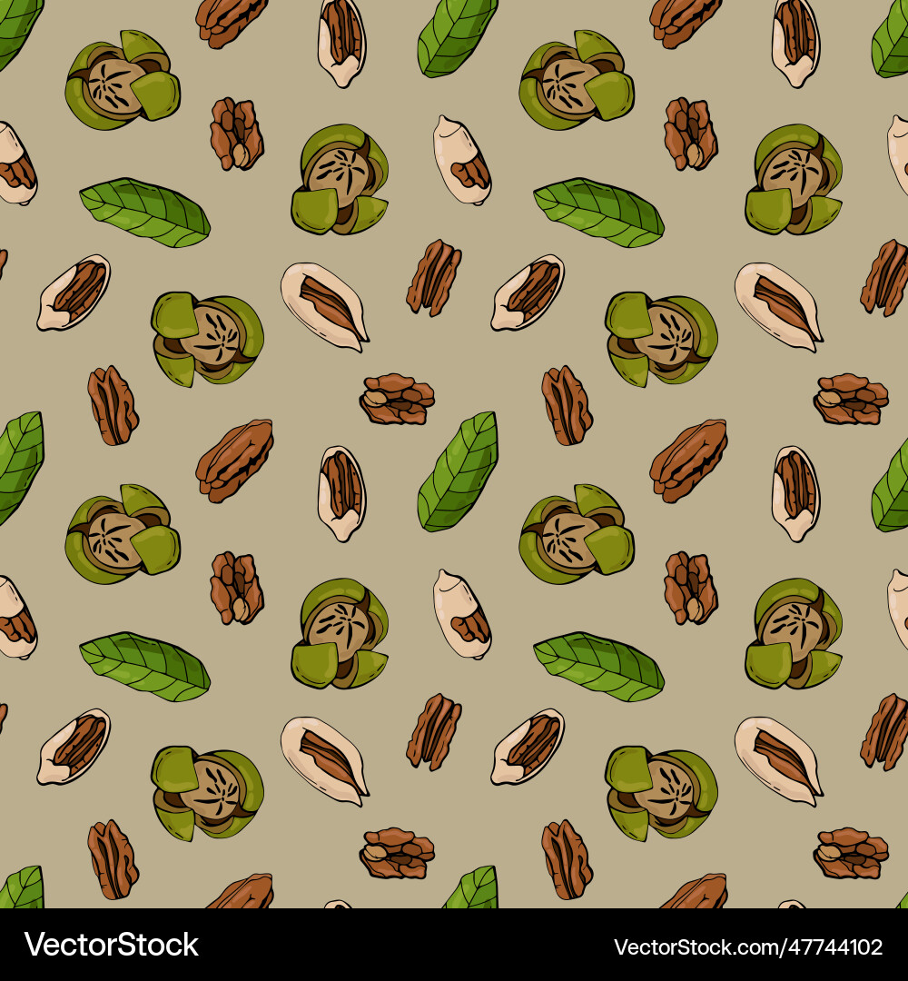 Seamless pattern with pecan nuts Royalty Free Vector Image