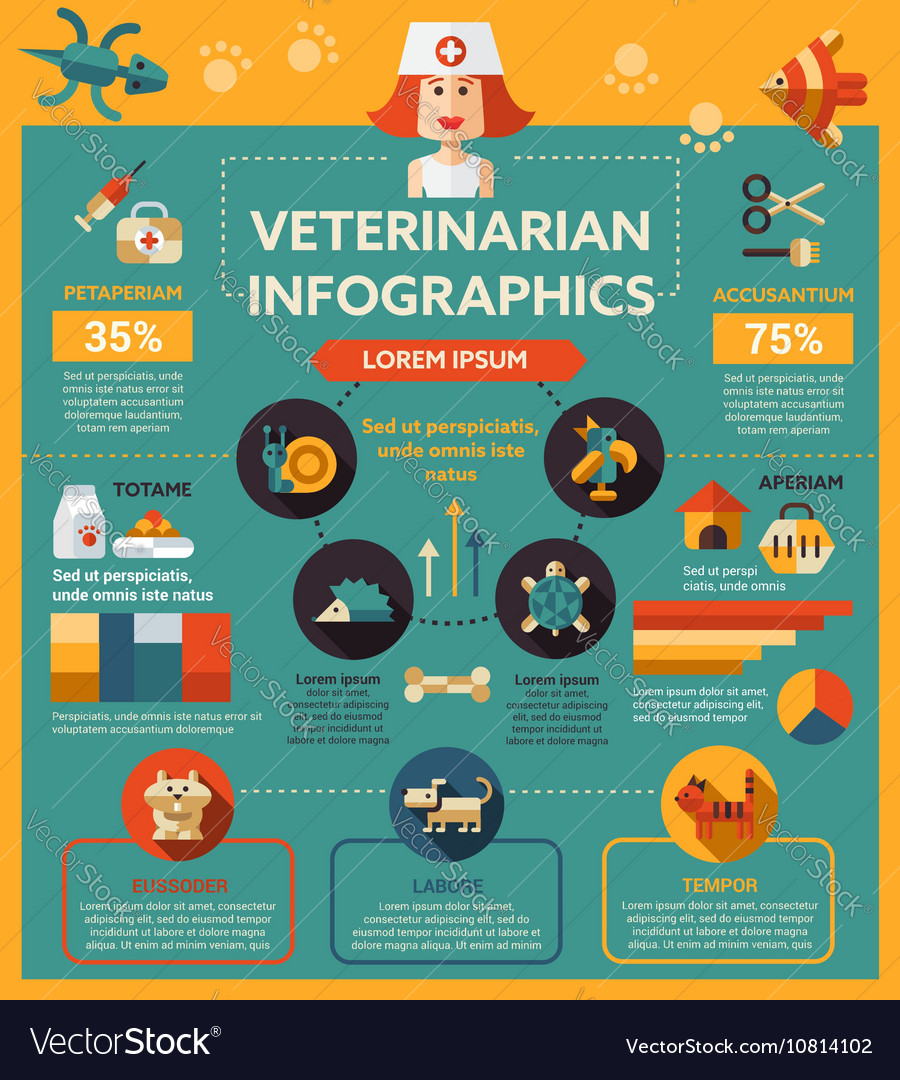 Veterinarian service - poster brochure cover Vector Image