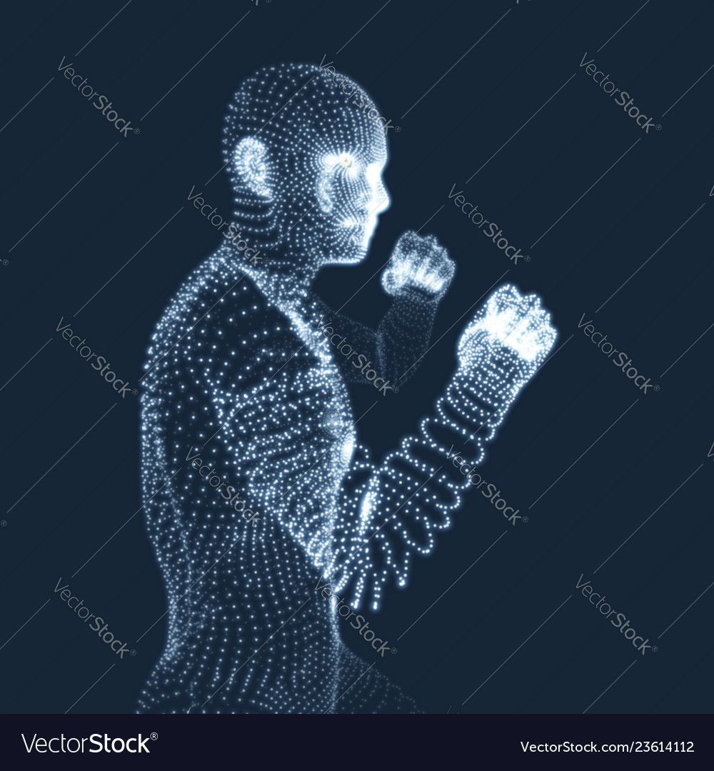 Boxer fighting man 3d model of human body Vector Image