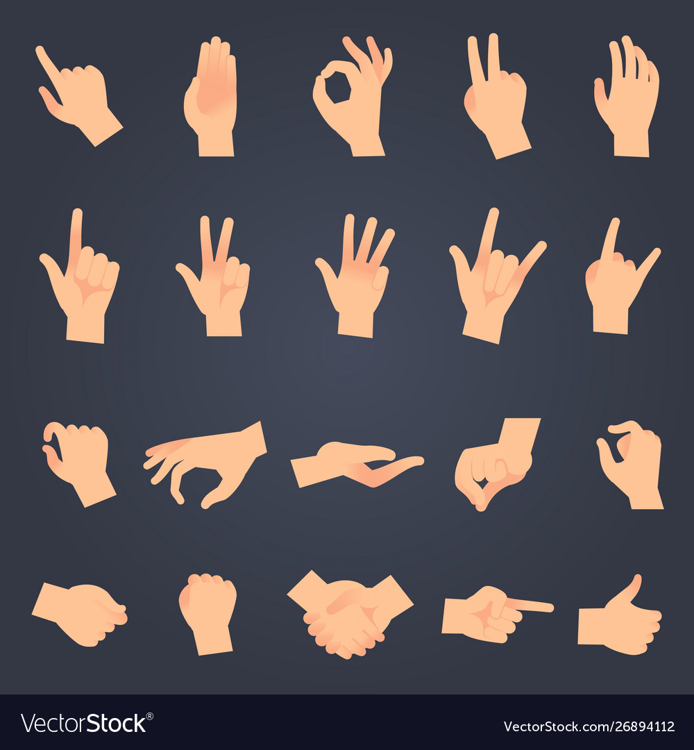 hand-position-set-female-or-male-hands-holding-vector-image