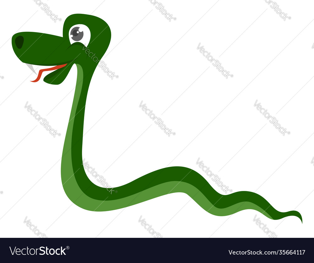 Green snake on white background