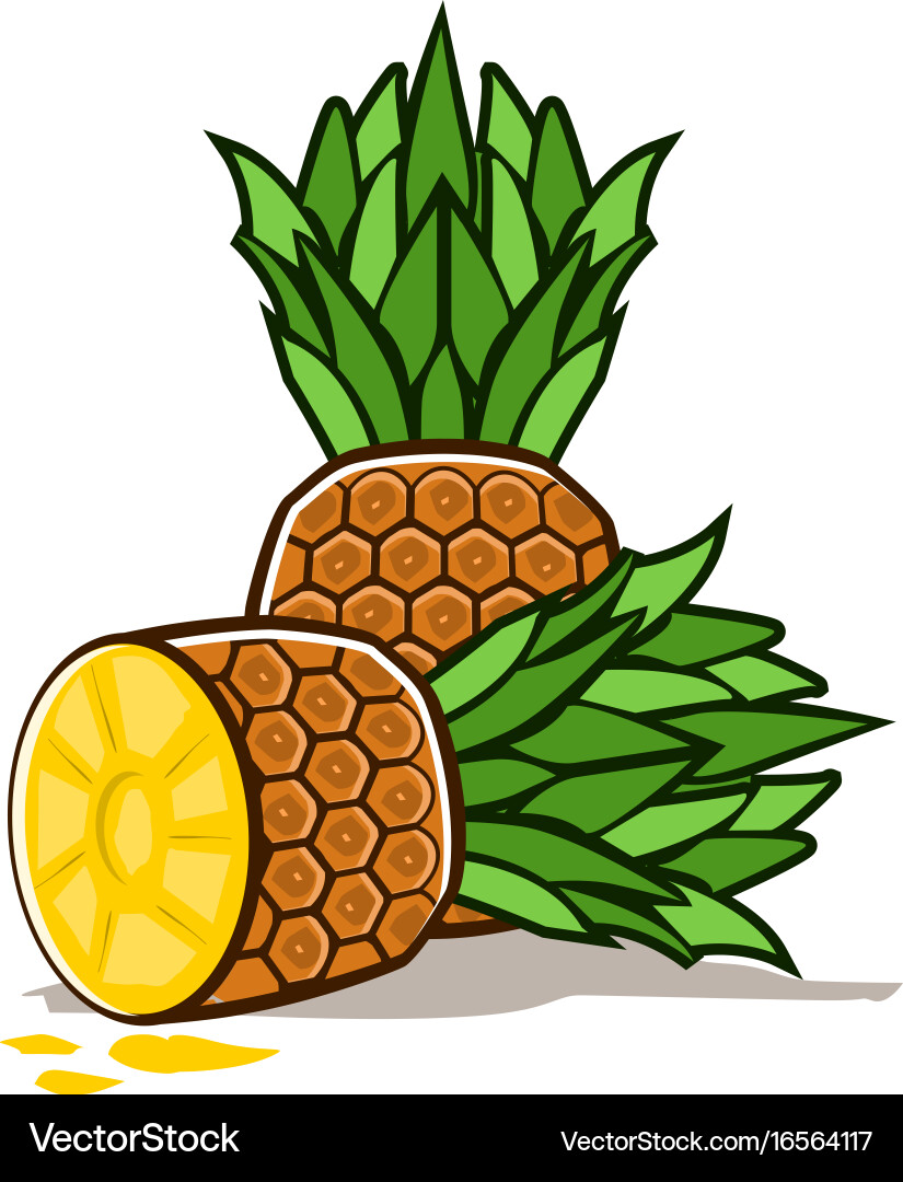 Pineapple fruit icon Royalty Free Vector Image