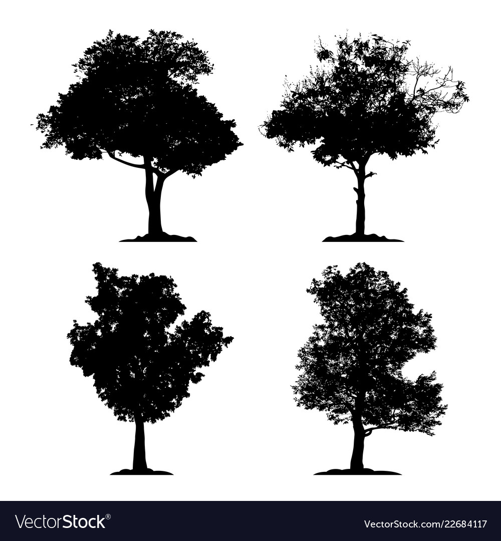 Silhouette tree set on white background icon