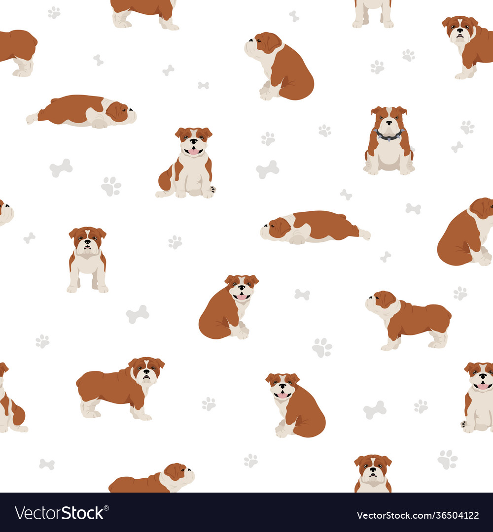 English bulldog seamless pattern different poses Vector Image