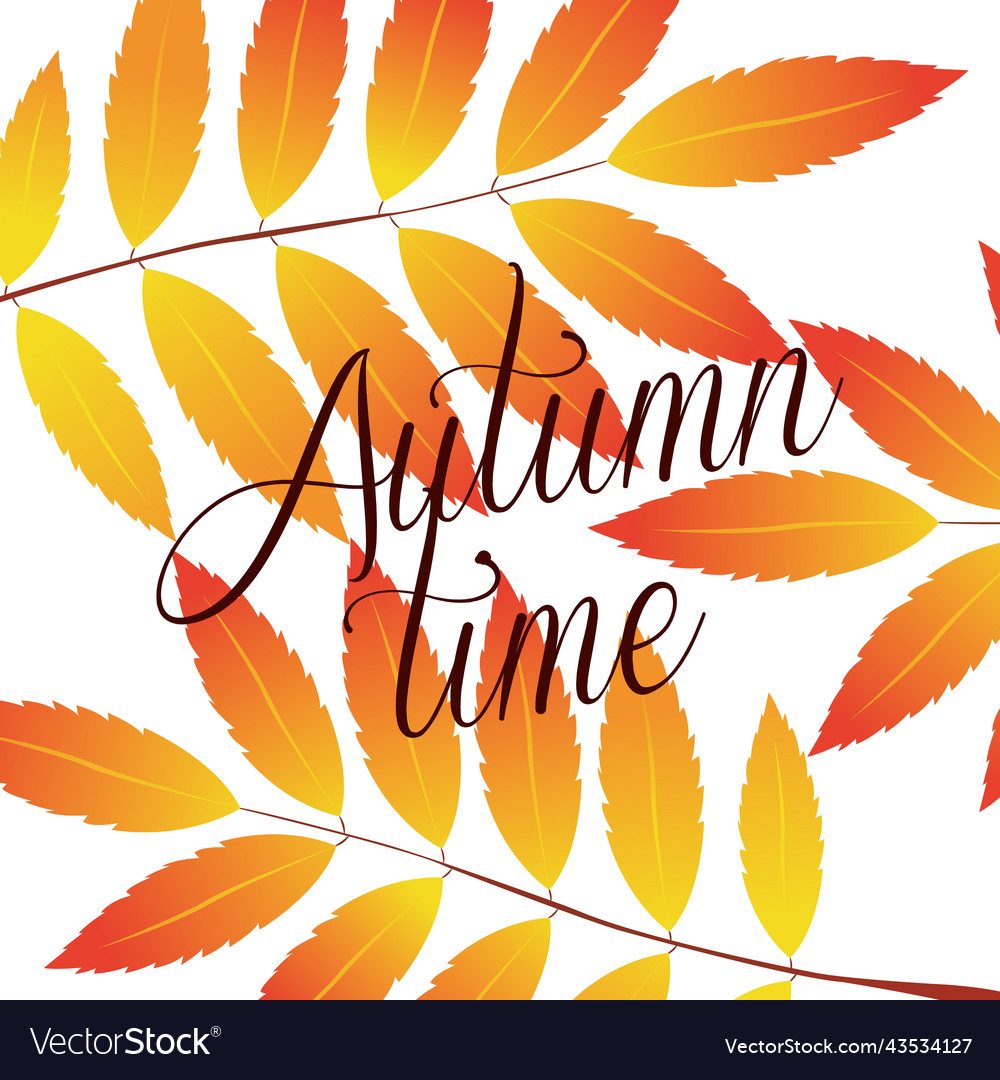 Autumn time Royalty Free Vector Image - VectorStock