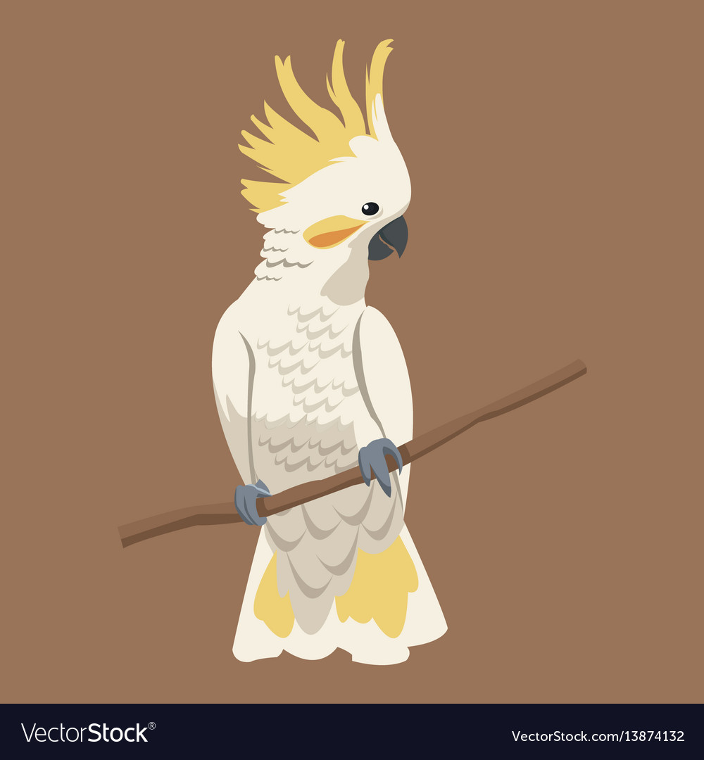 Cockatoo bird exotic branch Royalty Free Vector Image