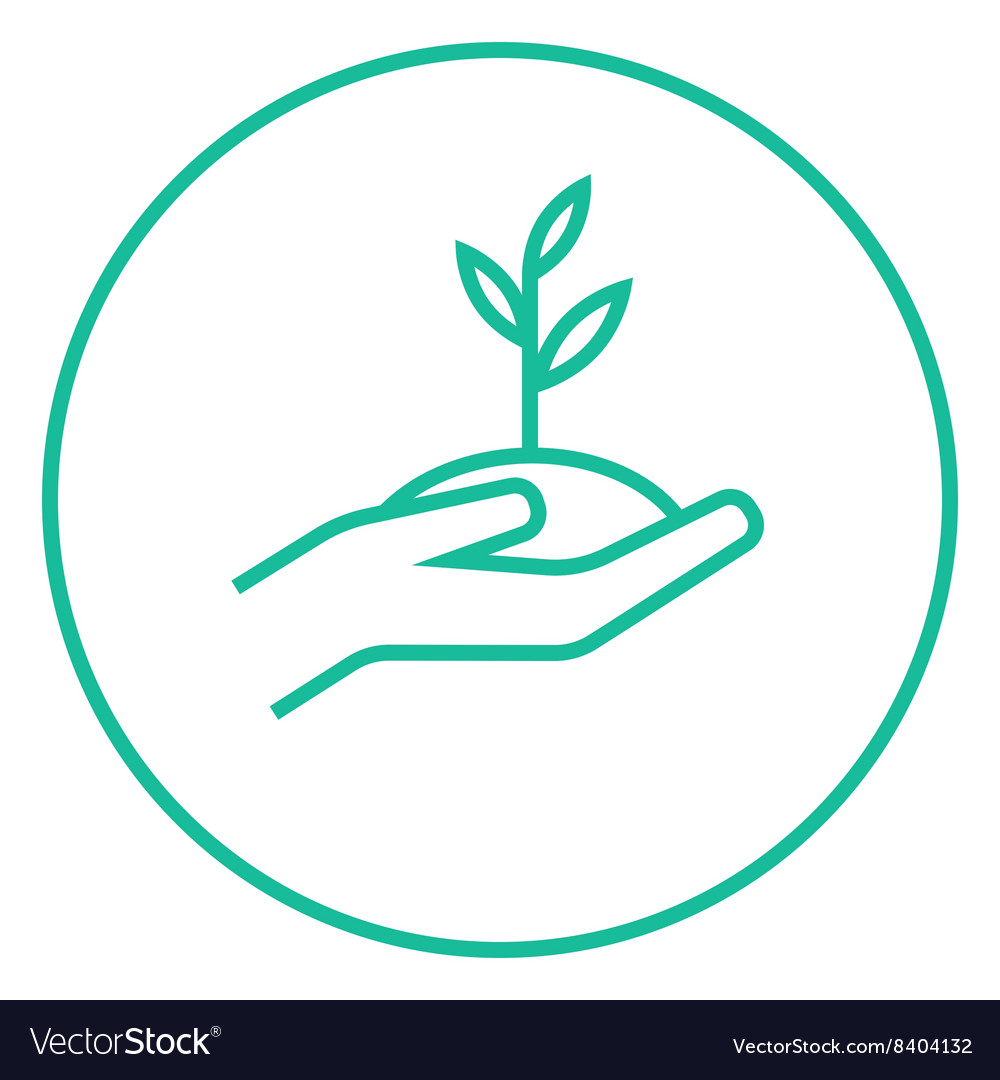 Hands holding seedling in soil line icon